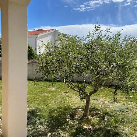 Jakovinovic Ražanac