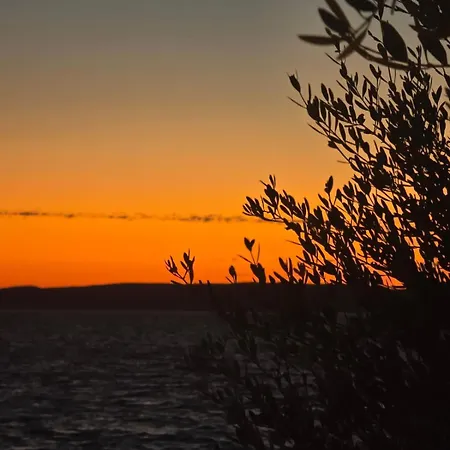 Jakovinovic Apartment *