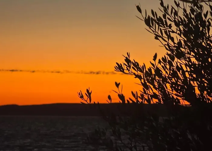 Jakovinovic Апартаменты *